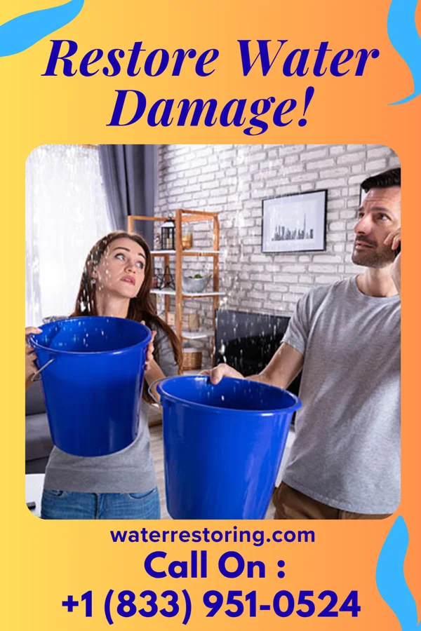 water restoration Diamond Mitigation Professionals Cane Savannah