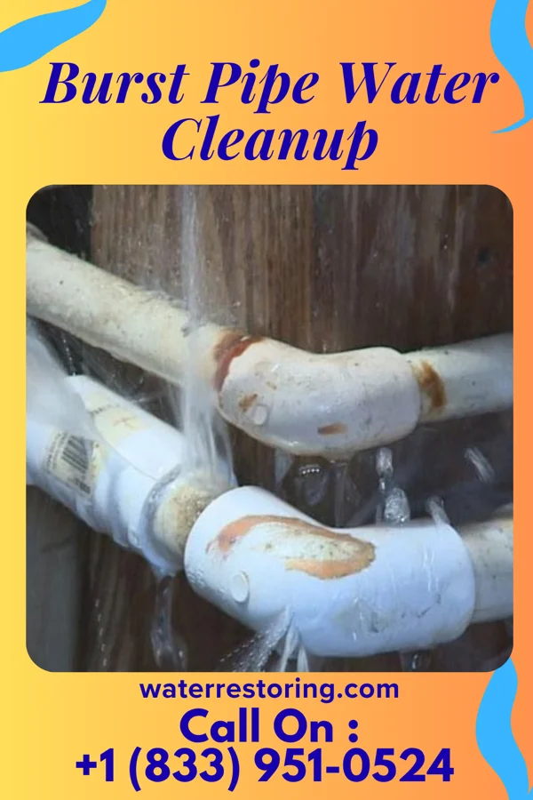 Burst Pipe Water Cleanup in Cane Savannah, SC