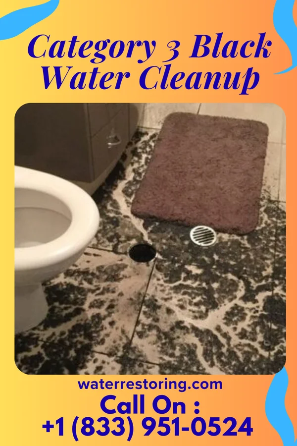 Category 3 Black Water Cleanup in Cane Savannah, SC