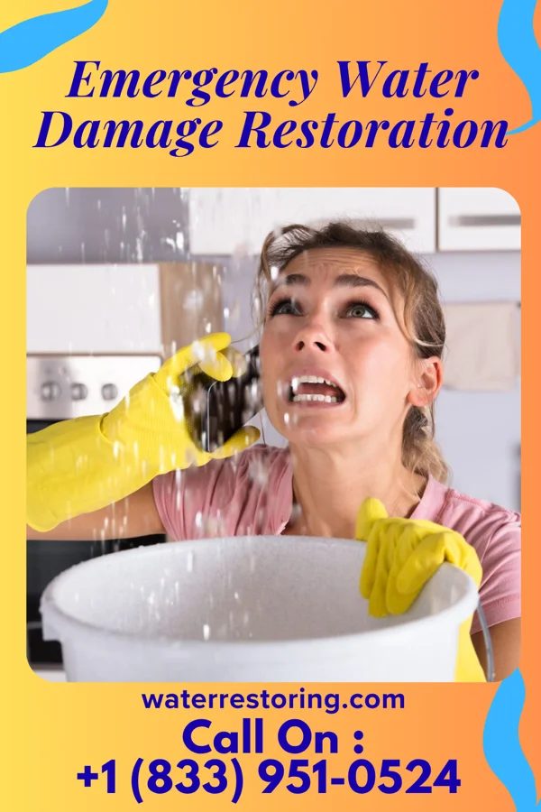 Emergency Water Damage Restoration in Cane Savannah, SC