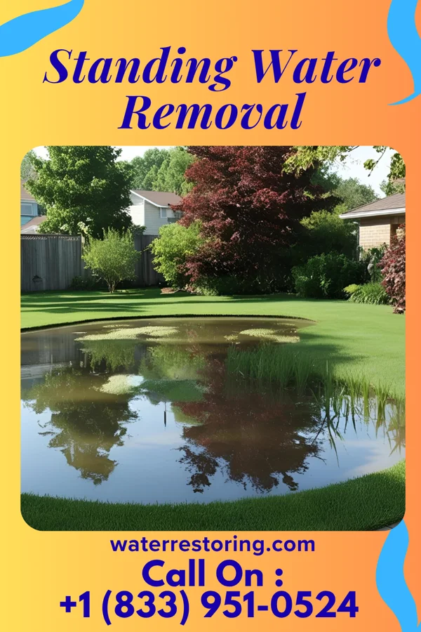 Standing Water Removal in Cane Savannah, SC